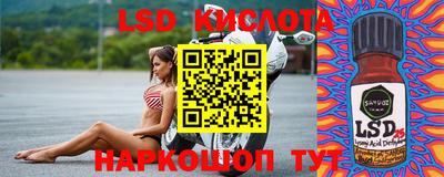 твердый Новокубанск