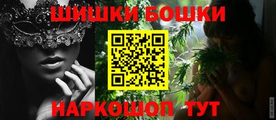 МДПВ Новозыбков
