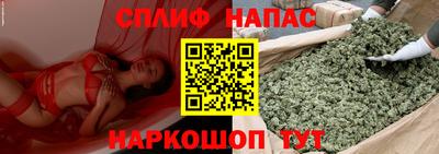 МДПВ Новозыбков