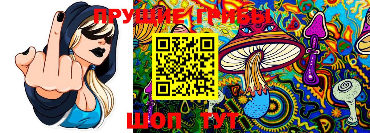 Псилоцибиновые грибы прущие грибы Узловая